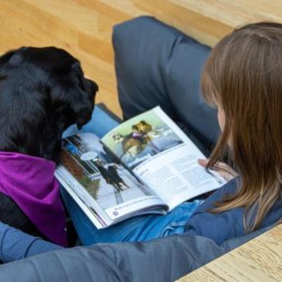Barn der sidder og læser på en sofa med en hund ved siden af.