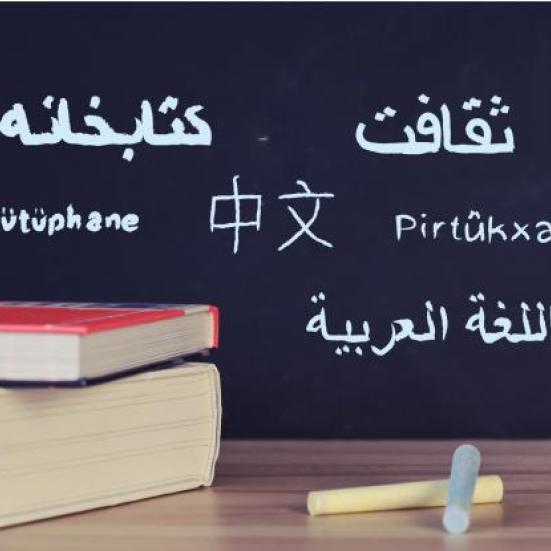 Bøger liggende på et bord med kridt og en tavle med forskellige sprog i baggrunden.