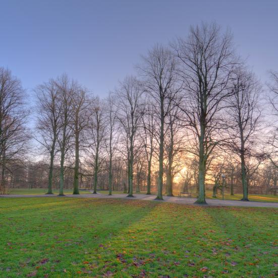 Søndermarken