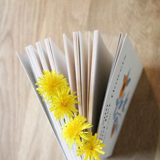Bog set ovenfra - med blomster i