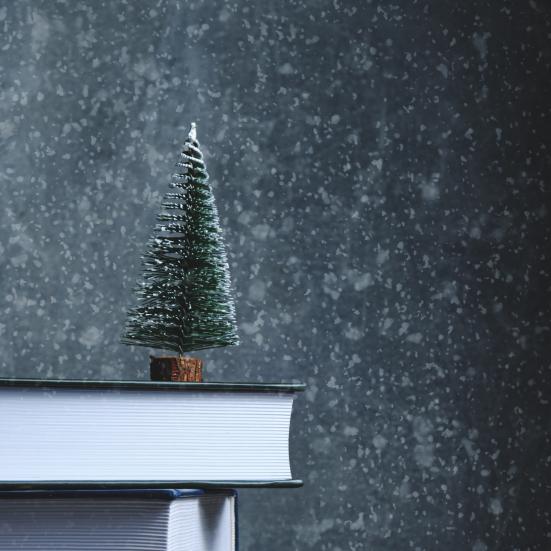 Vintervandring januar