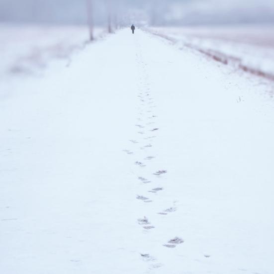 Fodspor i sneenpå en snebeklædt landevej.