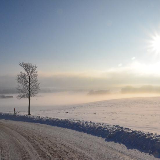 Snelandskab og landevej