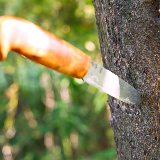 Kniv i træ