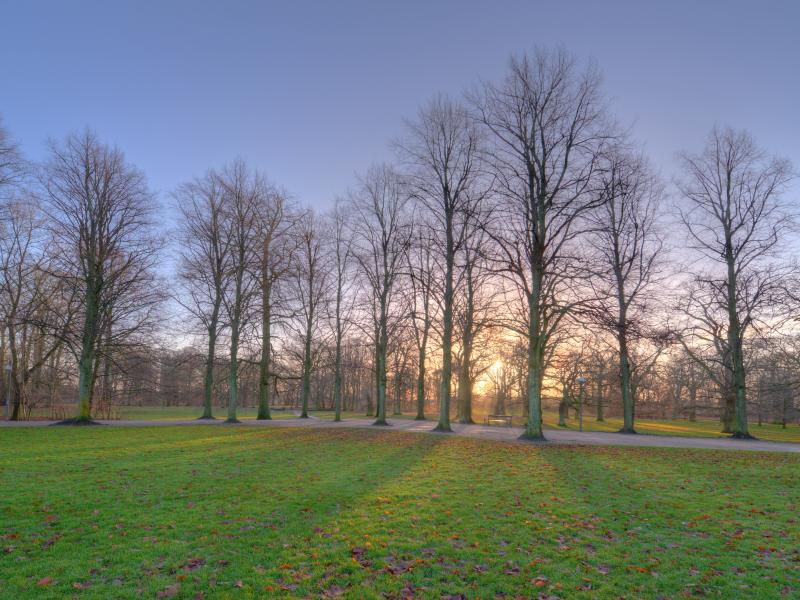 Søndermarken