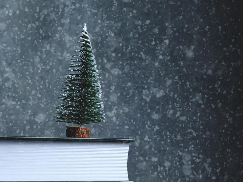 Vintervandring januar