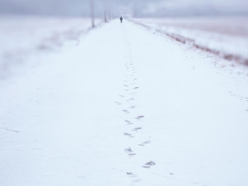 Fodspor i sneenpå en snebeklædt landevej.