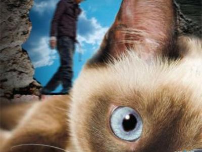 Forsiden af bogen 'Kafka på stranden', forest i billedet ses en kat og bagers en mand