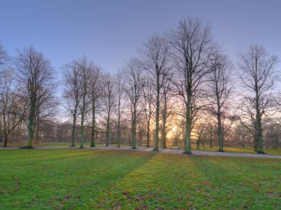 Søndermarken