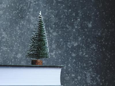 Vintervandring januar