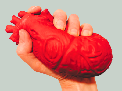 Hånd der holder en model af et menneskehjerte på grå baggrund