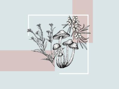 Illustration af svampe og vilde planter på en lys grafisk baggrund.