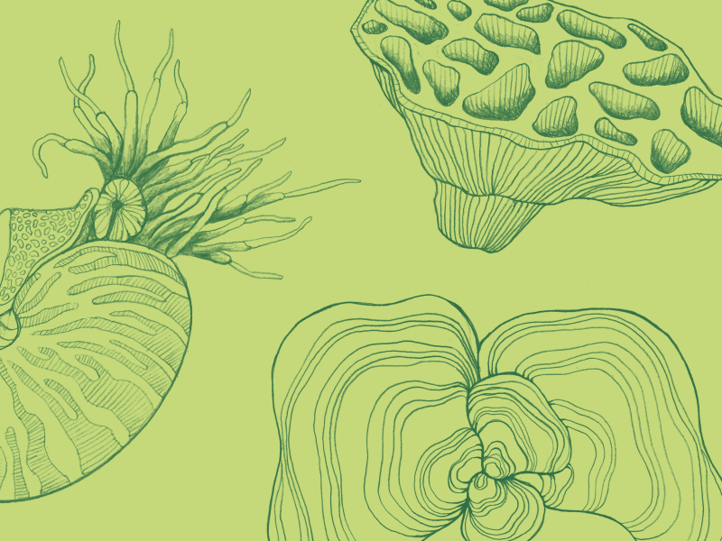 Videnskab hovedbillede