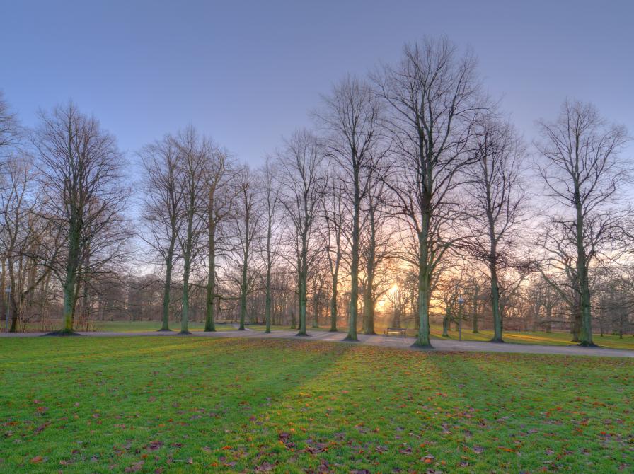 Søndermarken