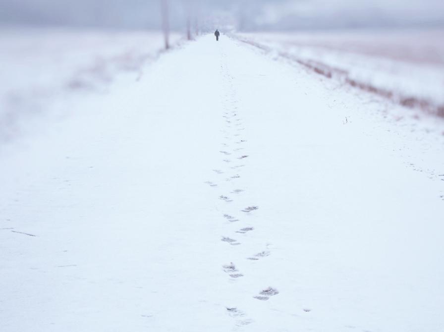 Fodspor i sneenpå en snebeklædt landevej.
