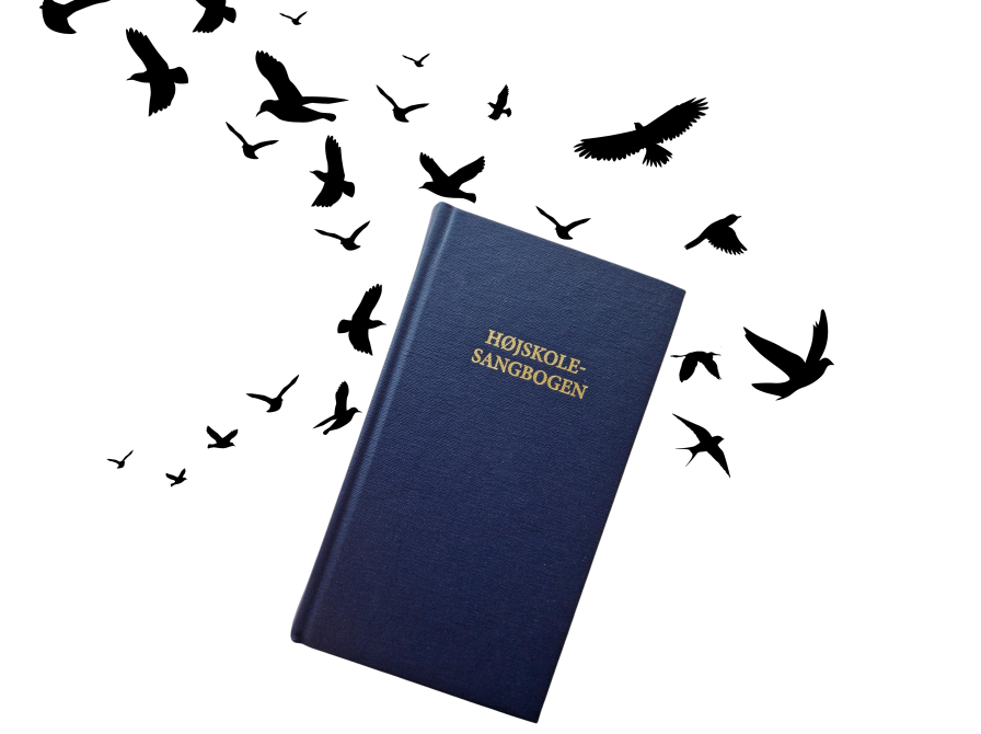 Højskolesangbog med billeder af fugleflok