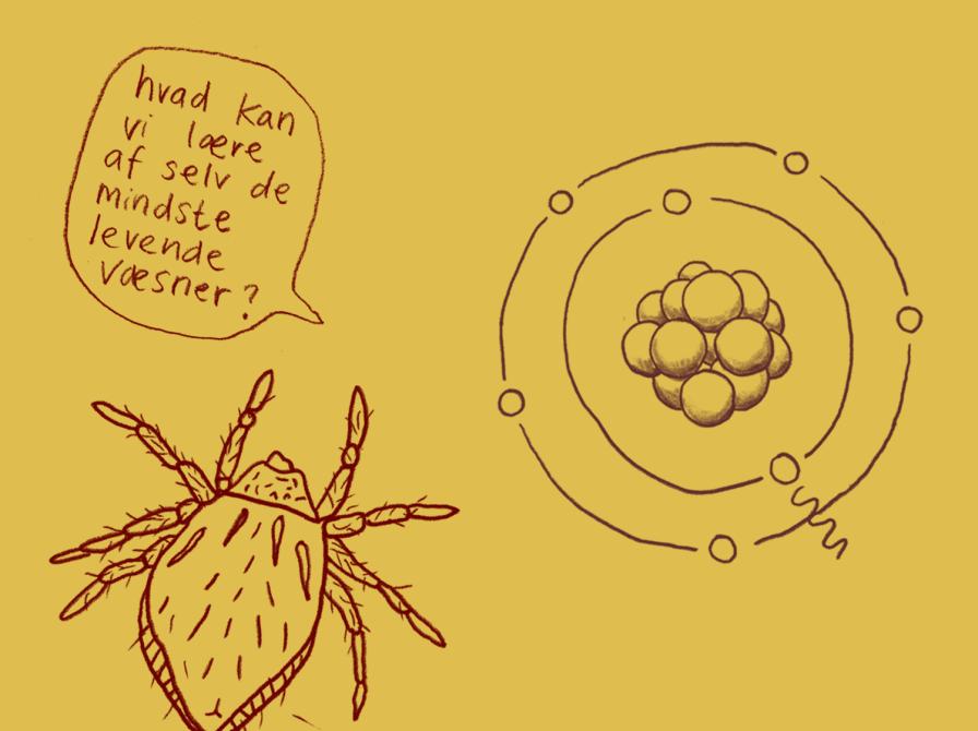 Gule bøger med påskekyllinger. i baggrunden bibliotekets hylder