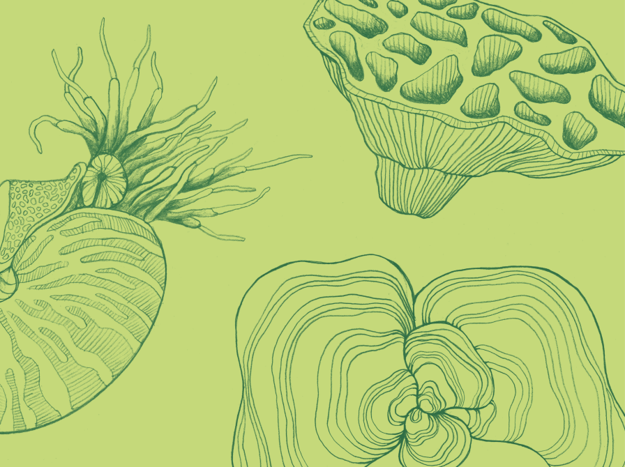 Videnskab hovedbillede